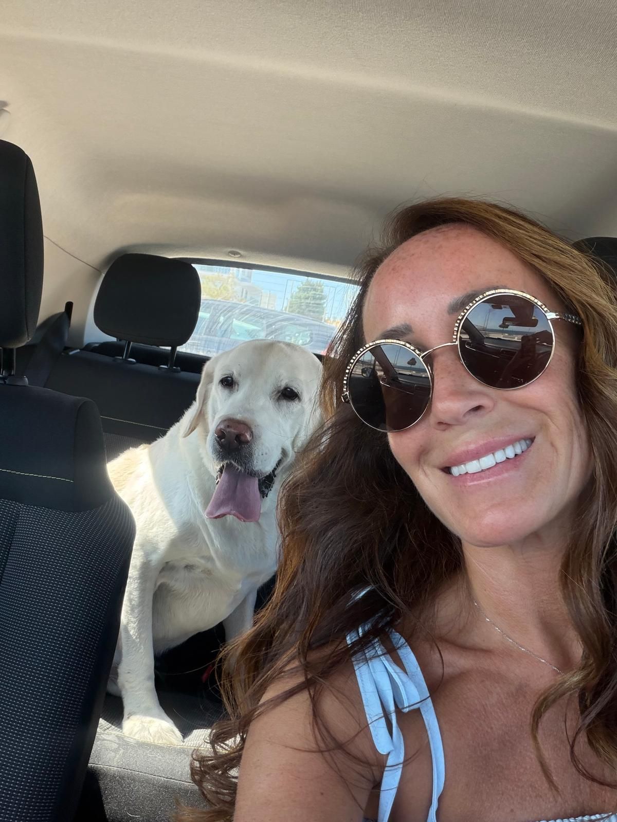 Pet Taxi